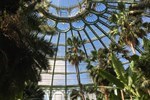 Bouton pour voir les détails et les options de réservation pour Bruxelles et Visite des Serres Royales et de la Collection Royale des Plantes Tropicales