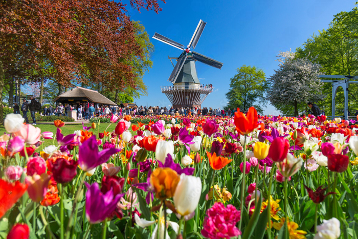 La pintoresca Delft y el parque de Keukenhof: Tulipanes en abundancia